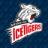 Ice Tigers Nürnberg Logo